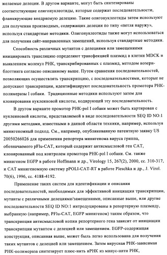 Способы и композиции для экспрессии антисмысловой вирусной рнк в клетках собаки (патент 2457250)