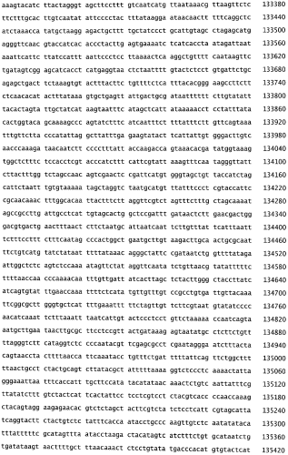 Бактериофаг, обладающий активностью против pseudomonas aeruginosa, белки бактериофага и способы их применения (патент 2580248)