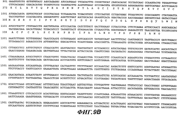 Способы и композиции для модуляции и обнаружения активности wisp (патент 2412201)