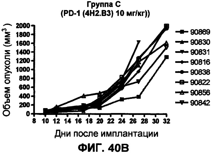 Моноклональные антитела человека к белку программируемой смерти 1 (pd-1) и способы лечения рака с использованием анти-pd-1-антител самостоятельно или в комбинации с другими иммунотерапевтическими средствами (патент 2406760)