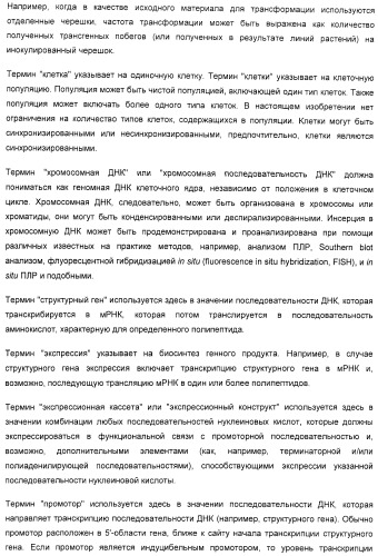 Улучшенная трансформация сои (патент 2389797)