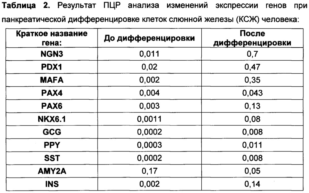 Клеточный продукт инсулин-продуцирующих клеток млекопитающих и его использование для терапии сахарного диабета (патент 2663118)