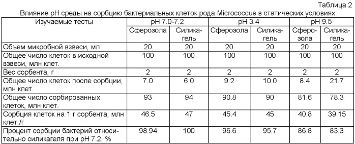 Биопрепарат для очистки почвы и воды от нефти и нефтепродуктов (патент 2361686)