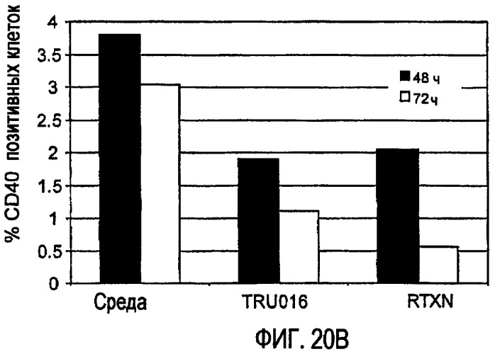 Снижение количества в-клеток с использованием cd37-специфических и cd20-специфических связывающих молекул (патент 2423381)