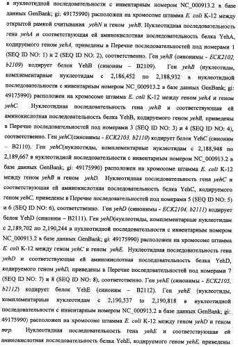Способ получения l-треонина и l-аргинина с использованием бактерии, принадлежащей к роду escherichia, в которой инактивирован кластер генов yehabcde (патент 2337960)