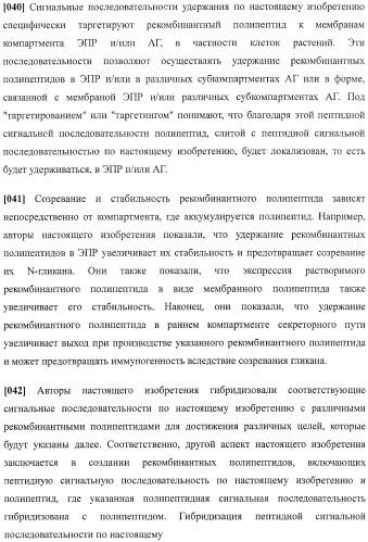 Набор последовательностей для таргетинга экспрессии и контроля посттрансляционных модификаций рекомбинантного полипептида (патент 2481399)