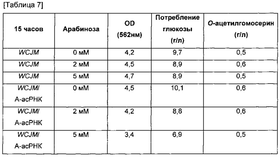 Микроорганизм, продуцирующий о-ацетилгомосерин, и способ получения о-ацетилгомосерина с использованием этого микроорганизма (патент 2614253)