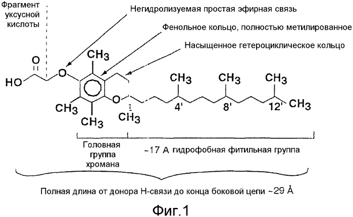 Липосомальная доставка соединений, основанных на витамине е (патент 2328273)