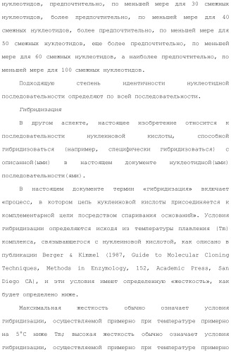 Антитела против вируса гепатита с (патент 2462475)