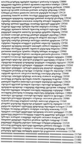 Модуляция экспрессии гентингтина (патент 2562861)