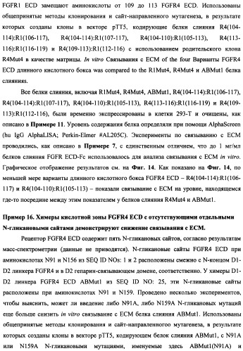 Мутеины кислотной зоны внеклеточного домена рецептора фактора роста фибробластов (патент 2509774)