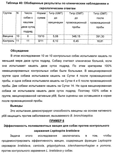 Поливалентные вакцины для собак против leptospira bratislava и других патогенов (патент 2400248)