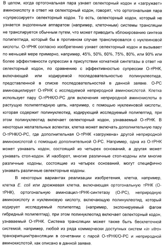 Селективная посттрансляционная модификация экспонируемых фагами полипептидов (патент 2459866)
