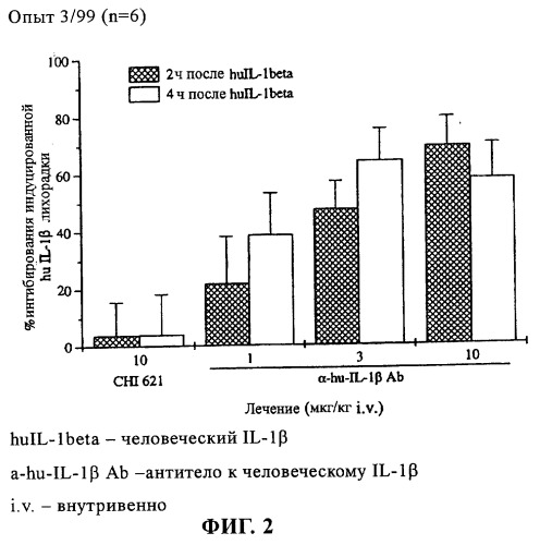 Рекомбинантное антитело к человеческому интерлейкину 1 (патент 2264413)