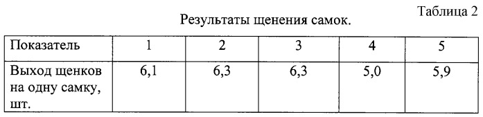 Композиция для профилактики и лечения анемии сельскохозяйственных животных и птицы (патент 2282441)