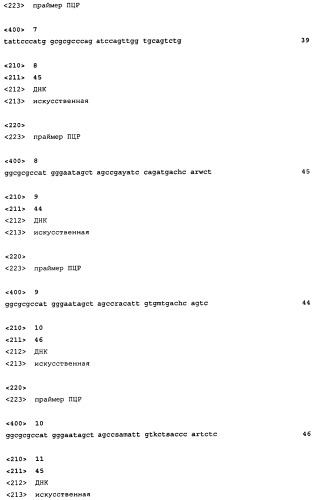 Способ клонирования когнатных антител (патент 2459868)