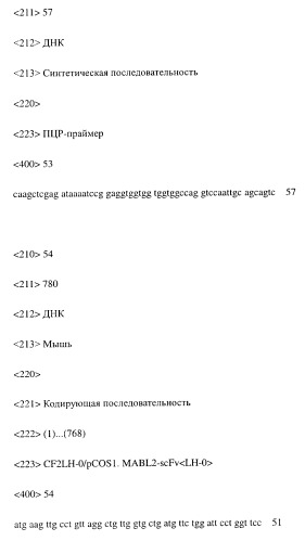 Модифицированное агонистическое антитело (патент 2295537)