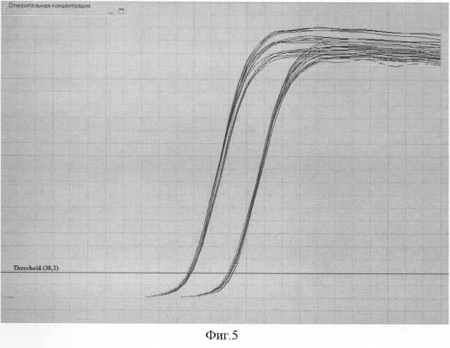 Способ стандартизации данных полимерной цепной реакции с регистрацией накопления продуктов реакции по флуоресценции непосредственно во время реакции (пцр &quot;в реальном времени&quot;) (патент 2294532)