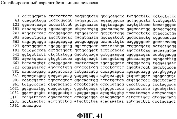 Днк-вакцины против опухолевого роста и способы их применения (патент 2343195)