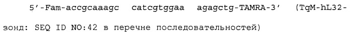 Антитело, направленное на белок siglec-15, связанный с остеокластами (патент 2475499)