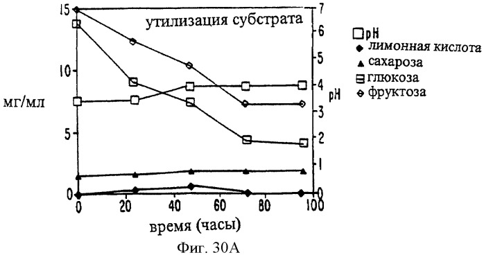 Соединение экстракта какао и способы их получения и применения (патент 2394562)