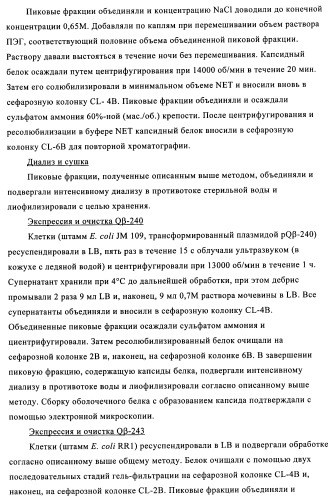 Композиции вакцин, содержащие наборы антигенов в виде амилоида бета 1-6 (патент 2450827)