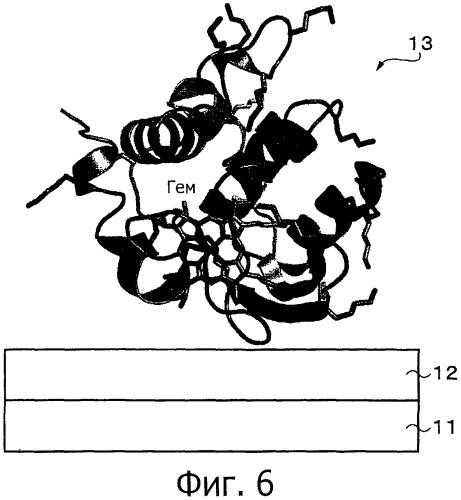 Электрод с иммобилизованным белком и способ его изготовления и функциональный элемент и способ его изготовления (патент 2532841)