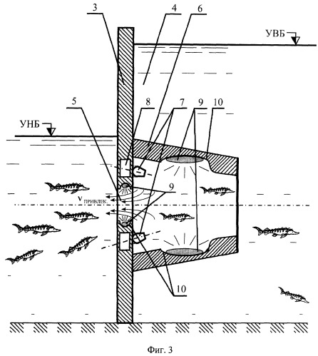 Рыбоход для привлечения и пропуска рыбы из нижнего бьефа гидроузла в верхний бьеф (патент 2337209)