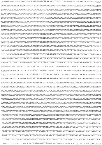 Применение s1p (патент 2362565)