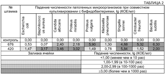 Штамм bifidobacterium lactis 676, используемый для приготовления кисломолочных лечебно-профилактических продуктов, ферментированных и неферментированных пищевых продуктов, биологически активных добавок, пробиотика и косметических средств (патент 2290436)