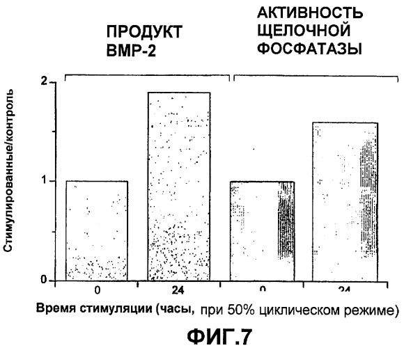 Активация экспрессии гена костного морфогенетического белка (вмр) в костных клетках посредством электромагнитных сигналов (патент 2388817)