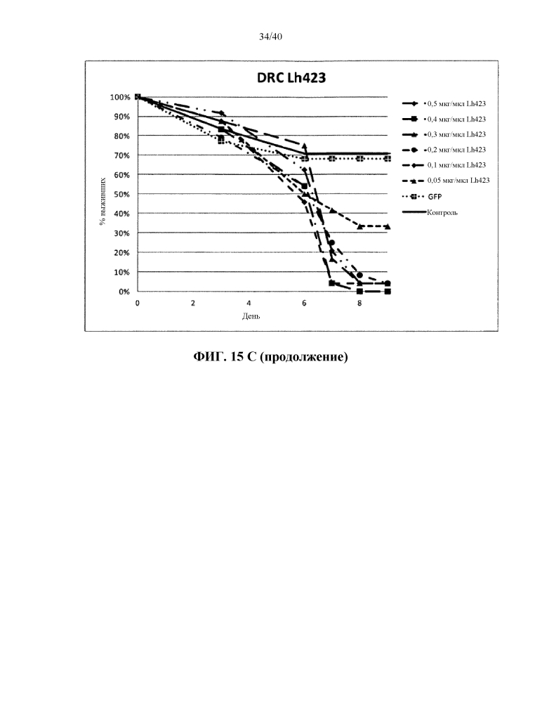Подавление экспрессии генов у насекомых-вредителей (патент 2619219)