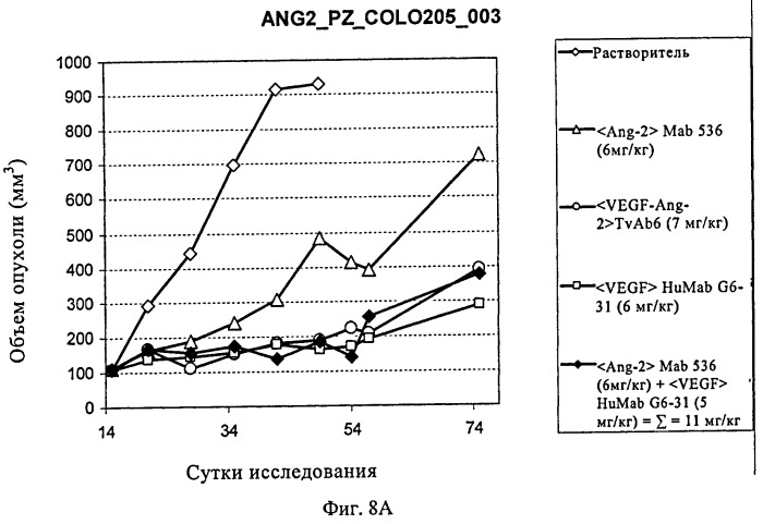 Биспецифические анти-vegf/анти-ang-2 антитела (патент 2542382)