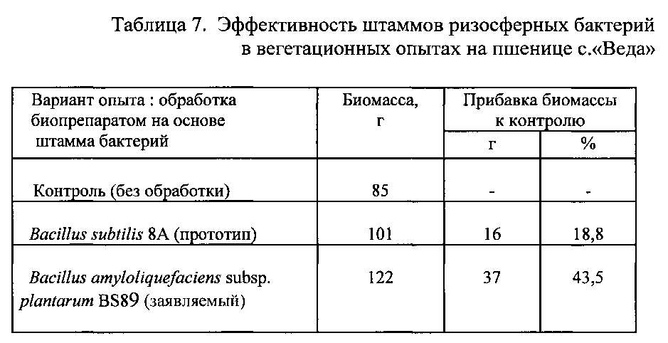 Штамм бактерий bacillus amyloliquefaciens subsp. plantarum bs89 в качестве средства повышения продуктивности растений и их защиты от болезней (патент 2599416)