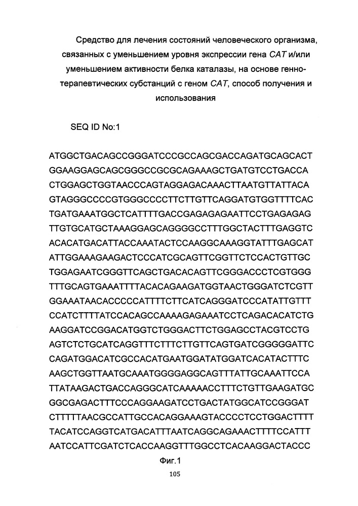 Средство для лечения состояний человеческого организма, связанных с уменьшением уровня экспрессии гена сат и/или уменьшением активности белка каталазы на основе генно-терапевтических субстанций с геном сат, способ получения и использования (патент 2649814)