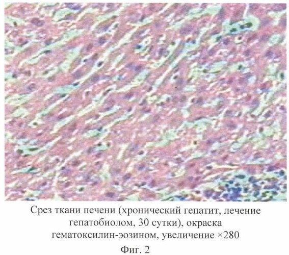 Средство &quot;гепатобиол&quot;, обладающее гепатопротекторным действием (патент 2429869)