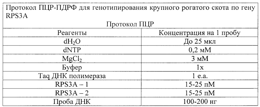 Способ проведения пцр-пдрф-анализа для генотипирования крупного рогатого скота по гену rps3a (патент 2667124)