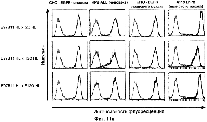 Cd3-эпсилон-связывающий домен с межвидовой специфичностью (патент 2561457)