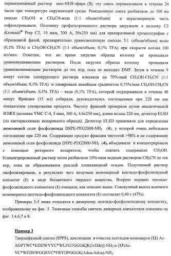 Конъюгаты фосфолипидов и направляющих векторных молекул (патент 2433137)