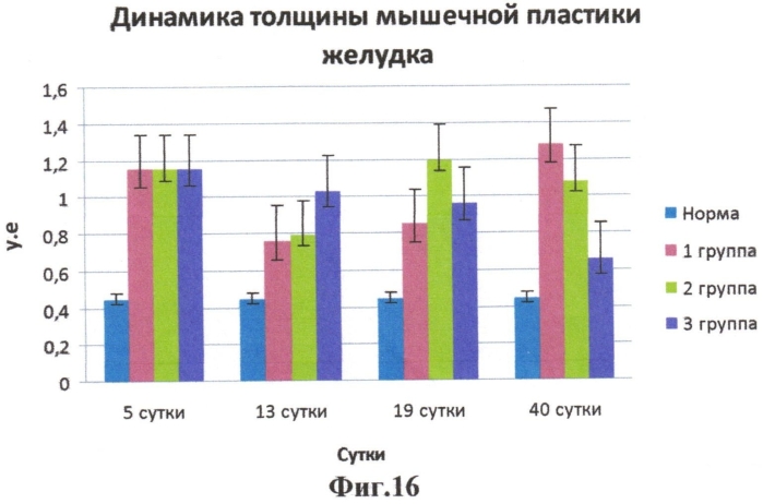 Способ лечения химического ожога пищевода и желудка в эксперименте (патент 2557136)