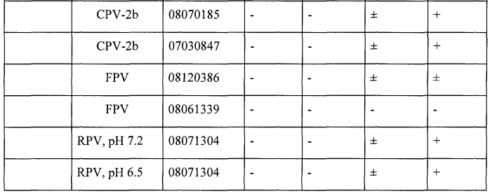 Выделение вируса, родственного парвовирусу-2 собак, от енота (патент 2565538)