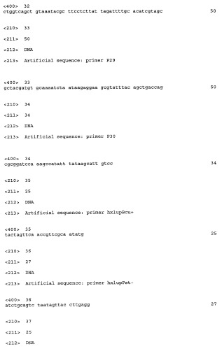 Способ получения пуриновых рибонуклеозидов и рибонуклеотидов (патент 2422510)