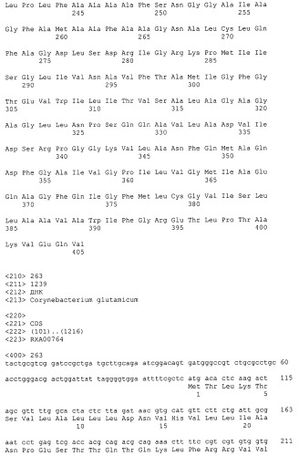 Гены corynebacterium glutamicum, кодирующие белки резистентности и толерантности к стрессам (патент 2303635)