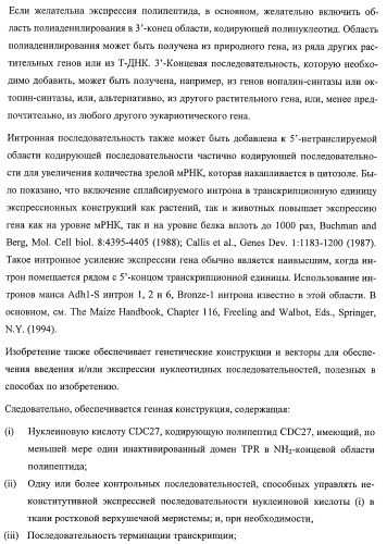 Растения, имеющие улучшенные характеристики роста, и способы их получения (патент 2463352)