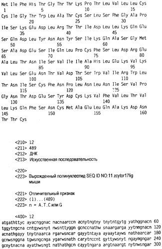 Новый лиганд рецептора цитокина zcytor17 (патент 2490276)