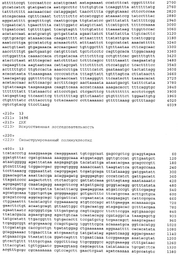 Улучшенная продукция белка в bacillus (патент 2515112)