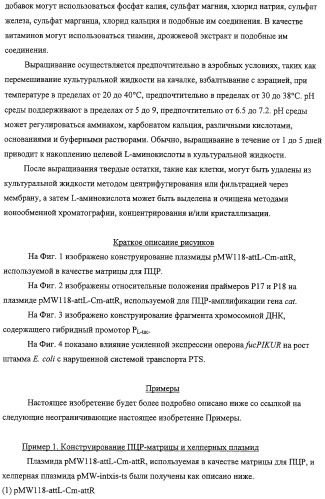 Способ получения l-треонина с использованием бактерии, принадлежащей к роду escherichia, обладающей усиленной экспрессией оперона fucpikur (патент 2318870)