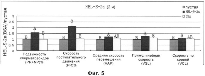 Применение prdx2 и/или prdx6 для получения фармацевтической композиции для лечения или предотвращения повреждения, старения или заболевания, вызванных повышением уровня активных форм кислорода (патент 2573943)