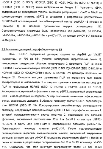 Очищенные оболочечные белки вируса гепатита с для диагностического и терапевтического применения (патент 2319505)