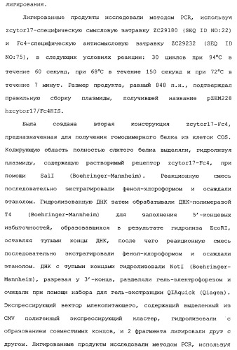 Новый лиганд рецептора цитокина zcytor17 (патент 2360923)